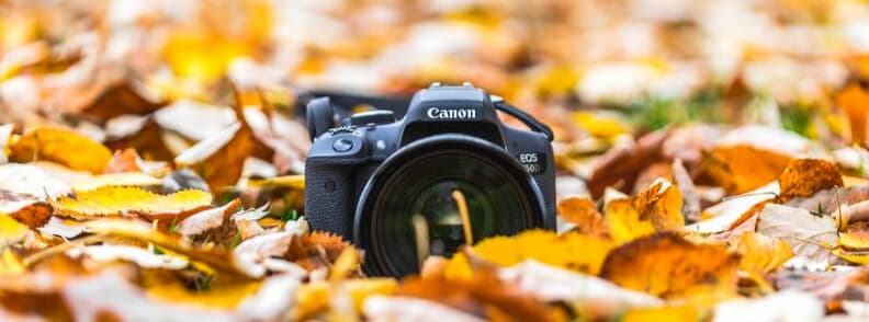 photos en vacances d'automne